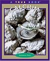 Calcium (True Books: Elements)