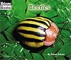 Beetles (Welcome Books: Animals of the World)