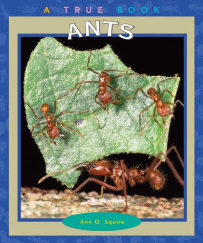 Ants (By: Ann O. Squire) cover