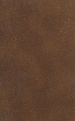 The Woman Who Stole Everything and Other Stories cover