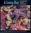 A Living Bay: The Underwater World of Monterey Bay