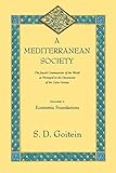 A Mediterranean Society Volume I The Jewish Communities Of The Arab World As Portrayed In The Documents Of The Cairo Geniza Economic Foundations Volume 6 Near Eastern Center Ucla