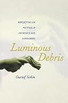 Luminous Debris: Reflecting on Vestige in Provence and Languedoc