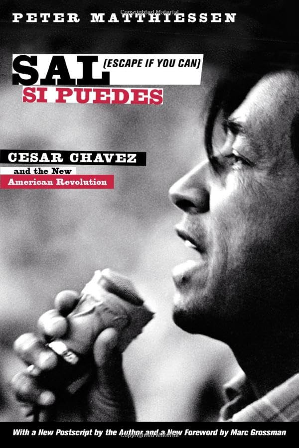 Sal Si Puedes book cover