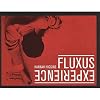 Fluxus Experience (Ahmanson-Murphy Fine Arts Book)