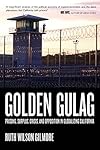 Golden Gulag: Prisons, Surplus, Crisis, and Opposition in Globalizing California