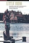 Little India: Diaspora, Time, and Ethnolinguistic Belonging in Hindu Mauritius