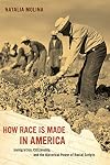 How Race Is Made in America: Immigration, Citizenship, and the Historical Power of Racial Scripts