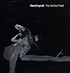 David Lynch: The Unified Field