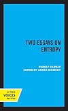 Two Essays on Entropy