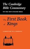 The First Book of Kings (Cambridge Bible Commentaries on the Old Testament)