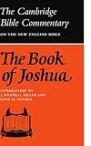 The Book of Joshua (Cambridge Bible Commentaries on the Old Testament)