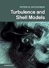 Turbulence and Shell Models