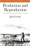 Production and Reproduction: A Comparative Study of the Domestic Domain
