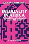 Inequality in Africa : political elites, proletariat, peasants, and the poor