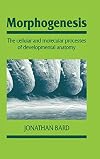 Morphogenesis: The Cellular and Molecular Processes of Developmental Anatomy (Developmental and Cell Biology Series, Series Number 23)