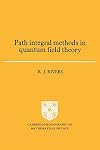 Path Integral Methods in Quantum Field Theory