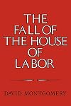 The Fall of the House of Labor: The Workplace, the State, and American Labor Activism, 1865-1925