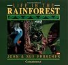 Life in the Rainforest