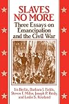 Slaves No More: Three Essays on Emancipation and the Civil War