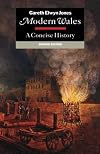 Modern Wales: A Concise History