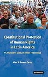 Constitutional Protection of Human Rights in Latin America: A Comparative Study of Amparo Proceedings