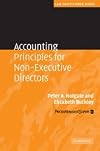Accounting Principles for Non-Executive Directors (Law Practitioner Series)