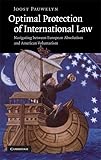 Optimal Protection Of International Law Navigating Between European Absolutism And American Voluntarism