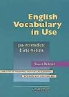 English Vocabulary in Use: Pre-Intermediate and Intermediate