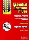 Essential Grammar in Use