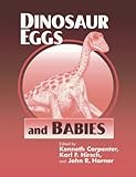 Dinosaur Eggs And Babies
