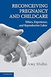 Reconceiving Pregnancy and Childcare: Ethics, Experience, and Reproductive Labor (Cambridge Studies in Philosophy and Public Policy)