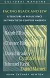 Facing Black and Jew: Literature as Public Space in Twentieth-Century America (Cultural Margins)