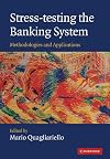 Stress-testing the Banking System: Methodologies and Applications