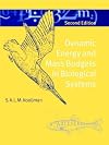 Dynamic Energy and Mass Budgets in Biological Systems