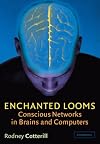 Enchanted Looms: Conscious Networks in Brains and Computers