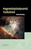 Magnetohydrodynamic Turbulence