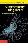 Supersymmetry and String Theory: Beyond the Standard Model