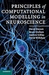 Principles of Computational Modelling in Neuroscience