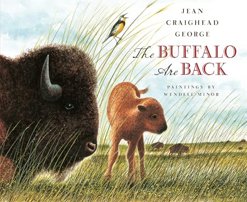 The Buffalo Are Back book cover