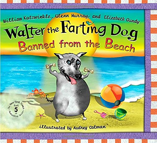 Banned From the Beach book cover