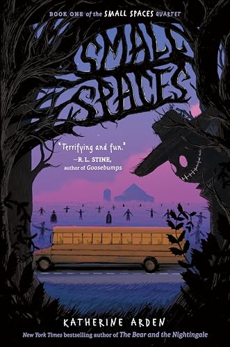 Small Spaces book cover