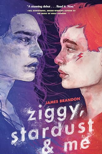Ziggy, Stardust and Me book cover