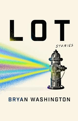 Lot book cover