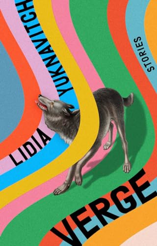 Verge book cover