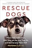 Rescue Dogs Where They Come From Why They Act The Way They Do And How To Love Them Well
