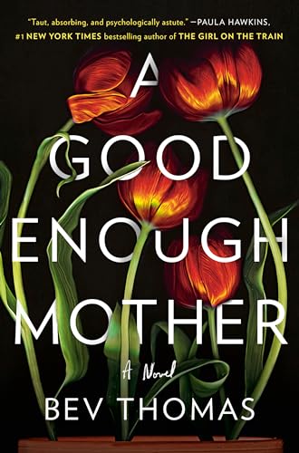 A Good Enough Mother book cover