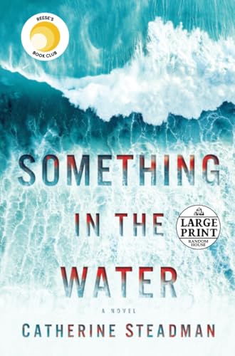 Something in the Water book cover