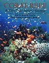 Coral Reef: A City that Never Sleeps