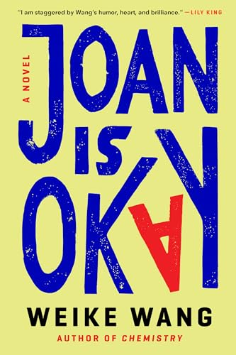 Joan Is Okay book cover